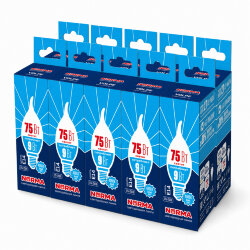 LED-CW37-9W-NW-E14-FR-NR SET10 Лампа светодиодная, Форма свеча на ветру, матовая, Серия Norma, Белый свет 4000K, Упаковка 10 штук