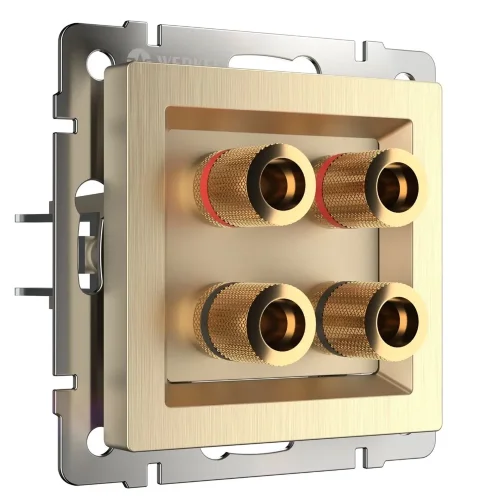 Акустическая розетка (шампань рифленый) W1185010 - фото