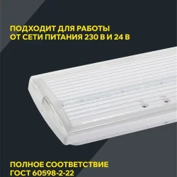 Светильник светодиодный ДПА 5030-1 IP20 1ч аварийный постоянного действия NI-CD IEK LDPA0-5030-1H-K01