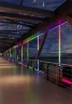 Светодиодная лента Базовая 12В 5050 14,4Вт/м Цветная (RGB) 5м IP 65 201196 (Белый) 201196 - фото 3