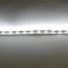 Светодиодная лента Standart PRO class, 3528, 60 led/m, White, 12V, IP54 - фото I