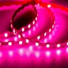 Светодиодная лента Standart Pro class, S-образная 2835, 112led/m, sweet pink, 12V, 7W/m, IP20, BA29 - фото I