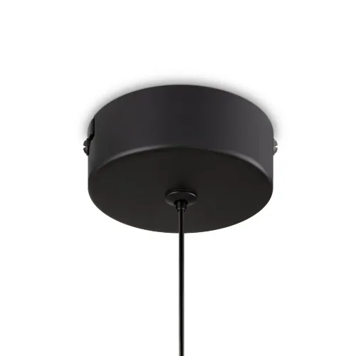 Подвесной светильник Freya FR6133PL-L4W (Черный) - фото 5