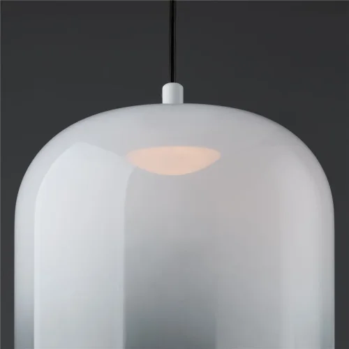 Подвесной светильник Freya FR6133PL-L4W (Черный) - фото 6