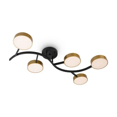 Потолочный светильник FR6048CL-L10GB Тибо / Tibo 10 Вт LED (Черный с Золотом) FR6048CL-L10GB - фото