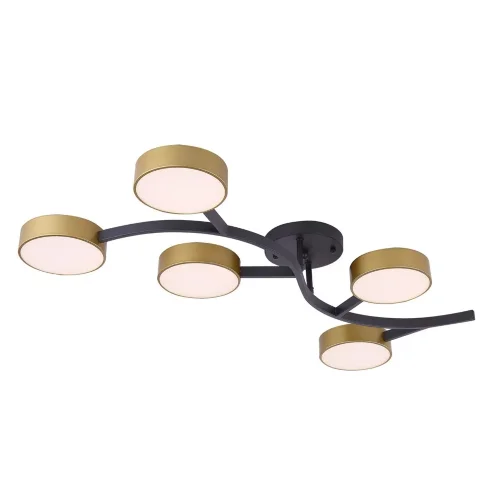 Потолочный светильник FR6048CL-L10GB Тибо / Tibo 10 Вт LED (Черный с Золотом) FR6048CL-L10GB - фото 5