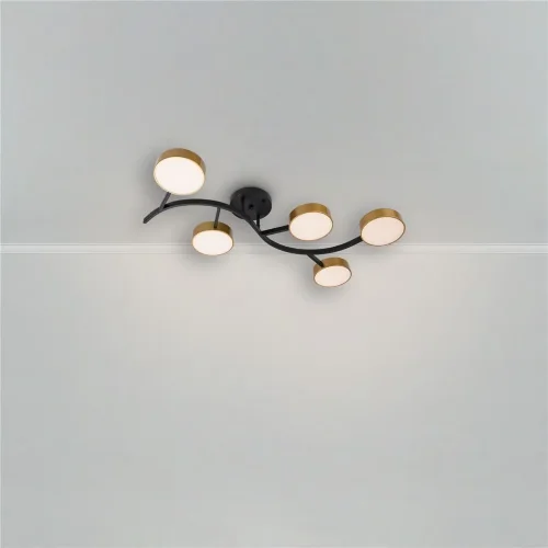 Потолочный светильник FR6048CL-L10GB Тибо / Tibo 10 Вт LED (Черный с Золотом) FR6048CL-L10GB - фото 8