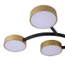 Потолочный светильник FR6048CL-L10GB Тибо / Tibo 10 Вт LED (Черный с Золотом) FR6048CL-L10GB - фото 16