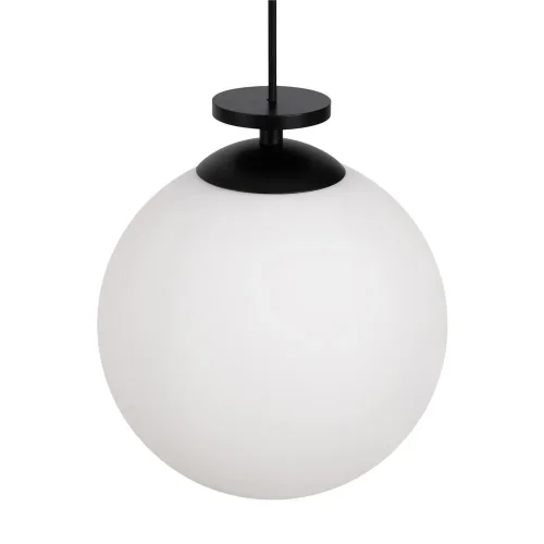 Подвесной светильник Freya FR5221PL-01B (Черный) - фото 4