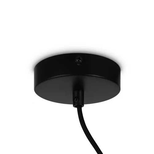 Подвесной светильник Freya FR5221PL-01B (Черный) - фото 8