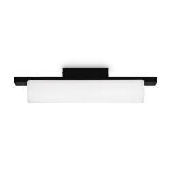 Потолочный светильник Точно / Even (Черный) FR5625CL-L20B