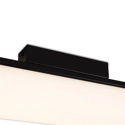 Потолочный светильник Точно / Even (Черный) FR5625CL-L20B - фото 5