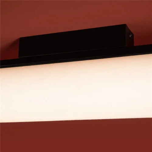 Потолочный светильник Точно / Even (Черный) FR5625CL-L20B - фото 10