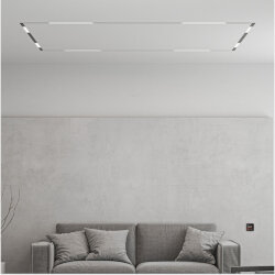 Комплект трековой системы SMART ZigBee PRO, Denkirs SET SMART ZigBee 01 PRO