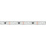 Светодиодная лента герметичная SPI-PS-В60-12mm 12V RGB-РХ3-ВРТ (12 W/m, IP67, 5060, 5m) (Arlight, бегущий огонь) 039599 - фото 5