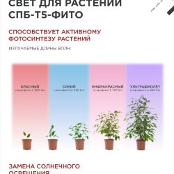 Светильник светодиодный СПБ-Т5 STD-ФИТО красно-синий спектр 15Вт 900мм IN HOME