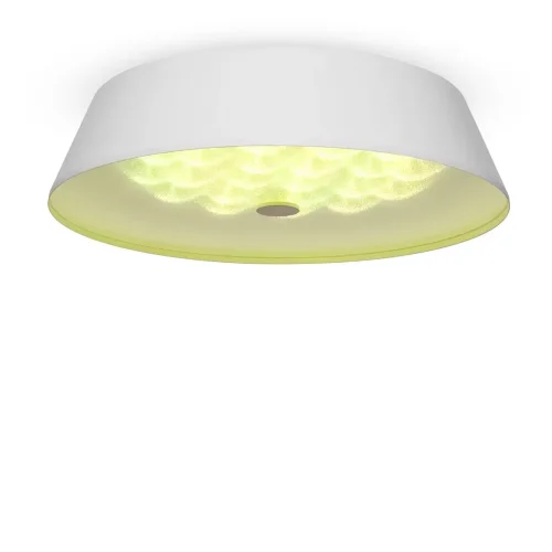 Потолочный светильник FR10013CL-L24W Элементы 24 Вт LED (Белый) FR10013CL-L24W - фото 2