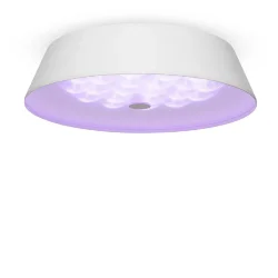 Потолочный светильник FR10013CL-L24W Элементы 24 Вт LED (Белый) FR10013CL-L24W