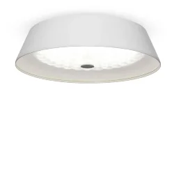 Потолочный светильник FR10013CL-L24W Элементы 24 Вт LED (Белый) FR10013CL-L24W