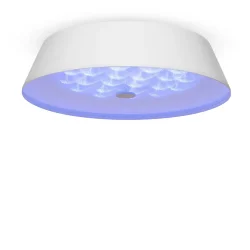 Потолочный светильник FR10013CL-L24W Элементы 24 Вт LED (Белый) FR10013CL-L24W