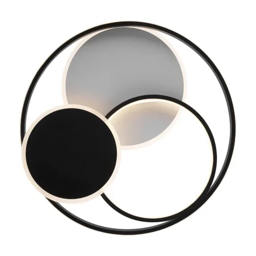 Потолочный светильник Freya FR10015CL-L94WB (Черный) - фото