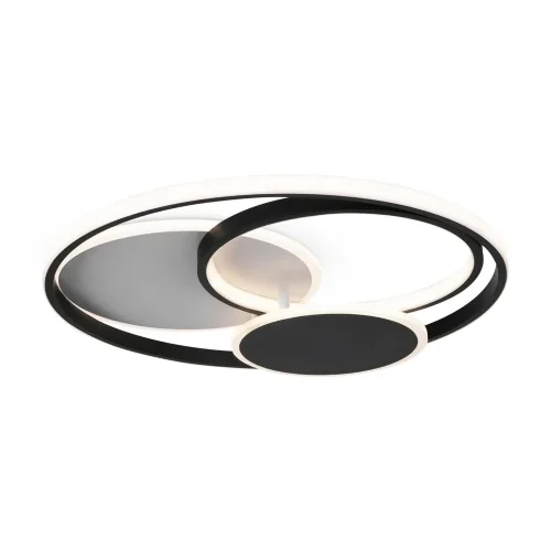 Потолочный светильник Freya FR10015CL-L94WB (Черный) - фото 2