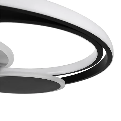 Потолочный светильник Freya FR10015CL-L94WB (Черный) - фото 5