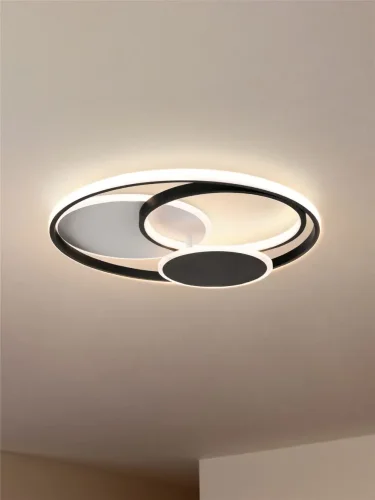 Потолочный светильник Freya FR10015CL-L94WB (Черный) - фото 12