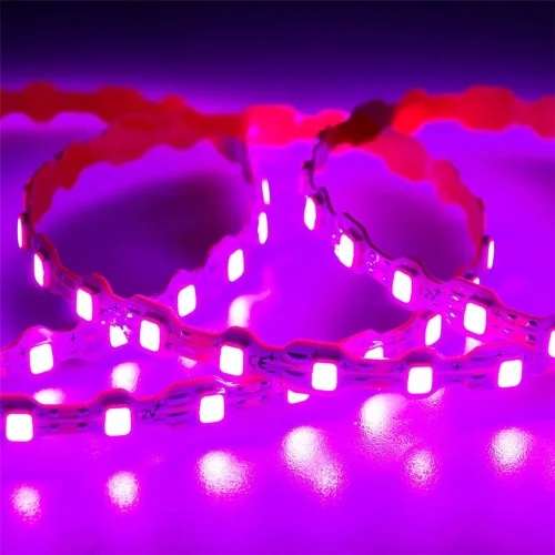 Светодиодная лента Standart Pro class, S-образная 2835, 112led/m, pink, 12V, 7W/m, IP20, BA26 - фото I