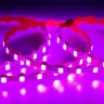 Светодиодная лента Standart Pro class, S-образная 2835, 112led/m, pink, 12V, 7W/m, IP20, BA26 - фото I