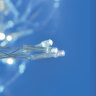 ULD-C1515-100-DTA WHITE IP20 Занавес светодиодный, 1.5х1.5м, 100 светодиодов, Белый свет, Провод прозрачный, TM Uniel - фото 6