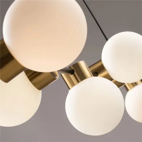 Подвесной светильник Freya FR5232PL-06B (Черный) - фото 8