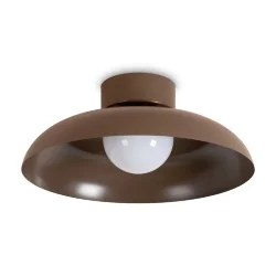 Потолочный светильник Движение / Movement (Коричневый) FR5602CL-L10BR