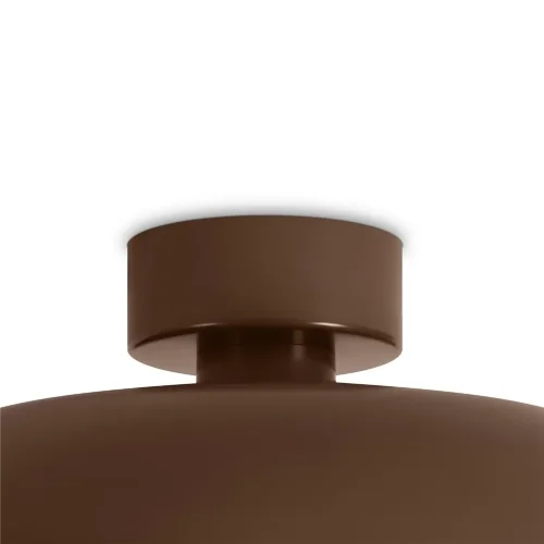 Потолочный светильник Движение / Movement (Коричневый) FR5602CL-L10BR - фото 5