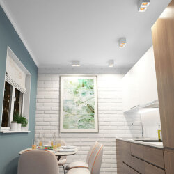 Светильник накладной IP 20, 10 Вт, GU5.3, LED, белый/бронзовый, пластик, Denkirs DK3085-WH+BR