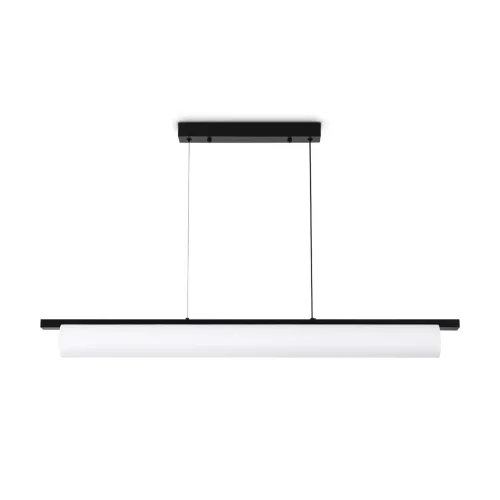 Подвесной светильник Точно/Ровно / Even (Черный) FR5625PL-L45B - фото 2