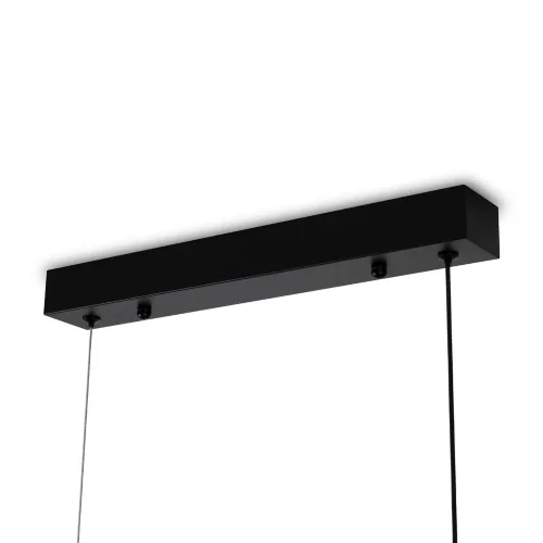 Подвесной светильник Точно/Ровно / Even (Черный) FR5625PL-L45B - фото 6