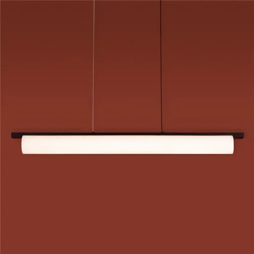 Подвесной светильник Точно/Ровно / Even (Черный) FR5625PL-L45B - фото 7