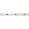 Светодиодная лента герметичная SPI-PFS-В60-12mm 12V RGB-РХ3-ВРТ (12 W/m, IP68, 5060, 5m) (Arlight, бегущий огонь) 039177 - фото 2