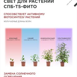 Светильник светодиодный СПБ-Т5 STD-ФИТО красно-синий спектр 10Вт 600мм IN HOME