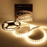 Светодиодная лента Class Premium, 5050, 120 led/m, Warm White, 24V, IP33, А16 - фото II