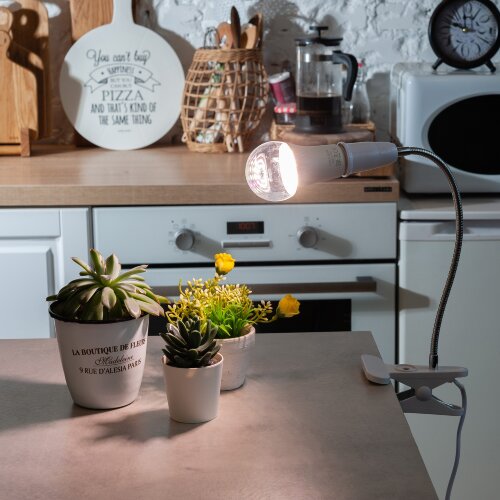 TLI-280 WHITE E27 PLANT Светильник настольный для фитоламп, На прищепке, Цоколь E27, Белый, ТМ ФитоЛето - фото 5