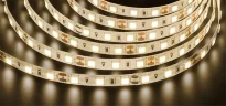 Лента светодиодная 71 426 NLS-5050WW60-14.4 IP20 12B R5 14.4Вт/м (уп.5м) Navigator 71426 - фото