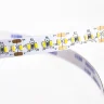 Светодиодная лента Standart PRO class, 3014, 240 LED, white, 24V, IP20 V130 - фото I