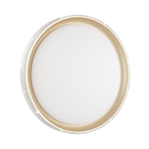 Настенно-потолочный светильник «СОНЕКС» 3054/DL, дизайн: Модерн, серия: SHINY (накладной). Фото 1.