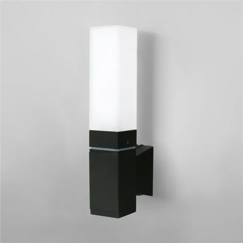 Уличный настенный светодиодный светильник Чёрный IP54 1534 TECHNO LED - фото
