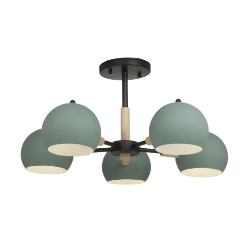 Потолочный светильник Freya FR5032CL-05B (Черный) - фото