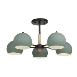 Потолочный светильник Freya FR5032CL-05B (Черный)