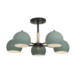 Потолочный светильник Freya FR5032CL-05B (Черный)