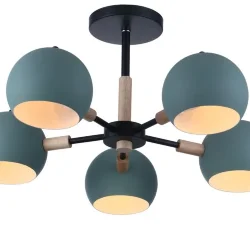 Потолочный светильник Freya FR5032CL-05B (Черный)